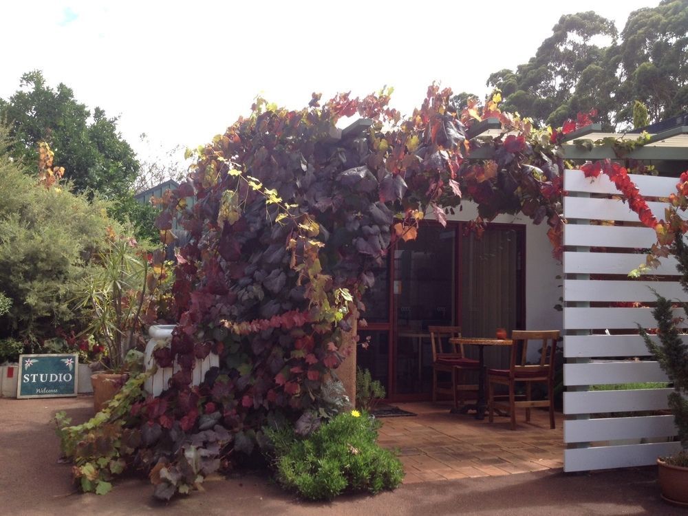 Forest Retreat Bed And Breakfast Margaret River Kültér fotó
