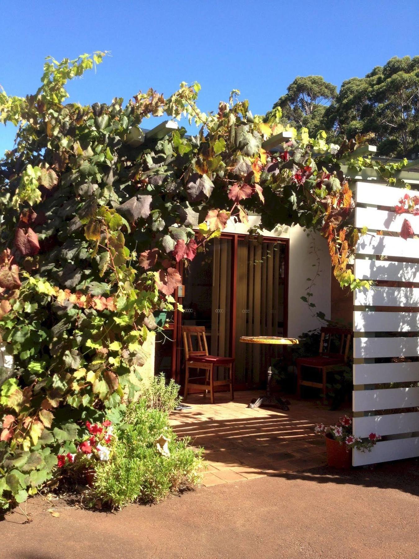 Forest Retreat Bed And Breakfast Margaret River Kültér fotó